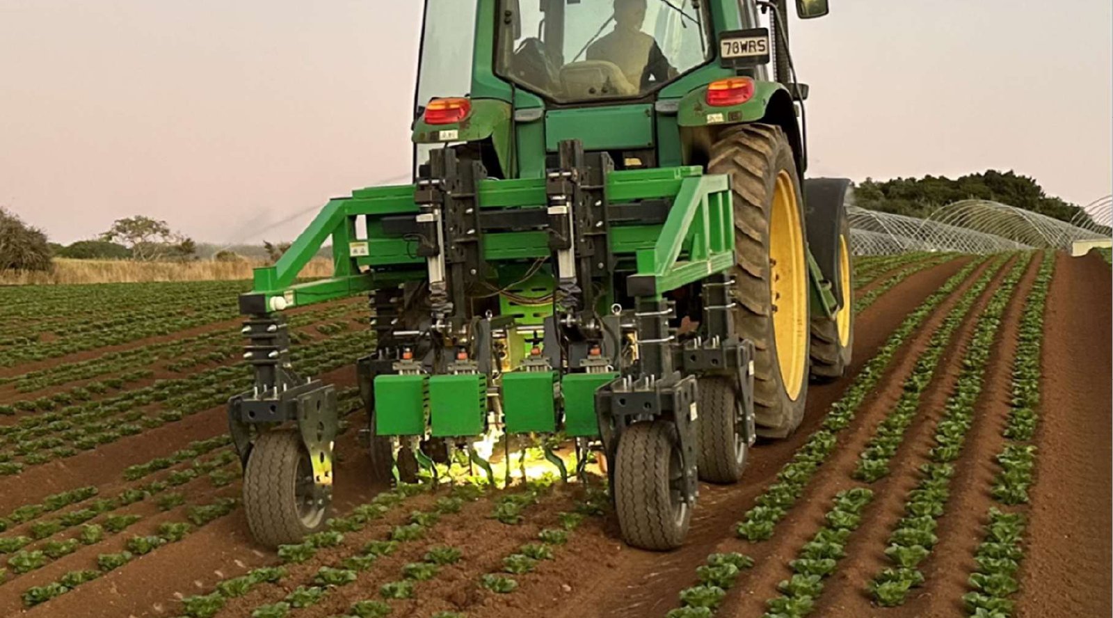 BearClaw Spearman mechanical cultivator in a vegetable field